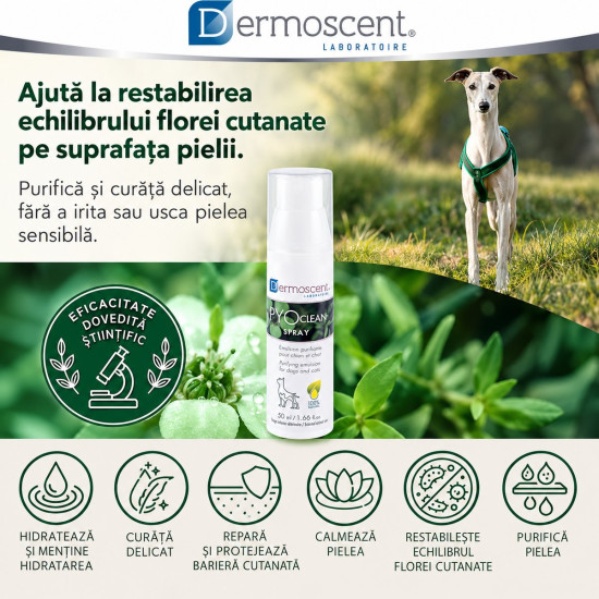 Dermoscent PYOclean Spray, spray dermatologic caini si pisici, 50 ml